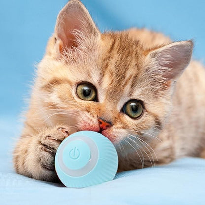 ¡Haz Feliz a Tu Gato con la Pelota Inteligente que se Mueve Sola! - PowerBall