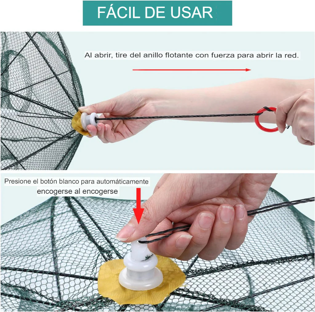 Trampa de pesca automática - ELIJA ENTRE 6 O 8 HOYOS - SÓLO 9.900 DE DIFERENCIA