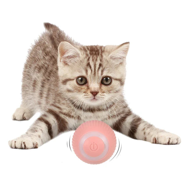 ¡Haz Feliz a Tu Gato con la Pelota Inteligente que se Mueve Sola! - PowerBall