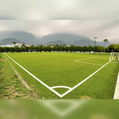 Semillas Césped Pasto Cancha Futbol 5g