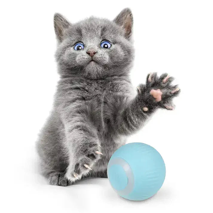 ¡Haz Feliz a Tu Gato con la Pelota Inteligente que se Mueve Sola! - PowerBall