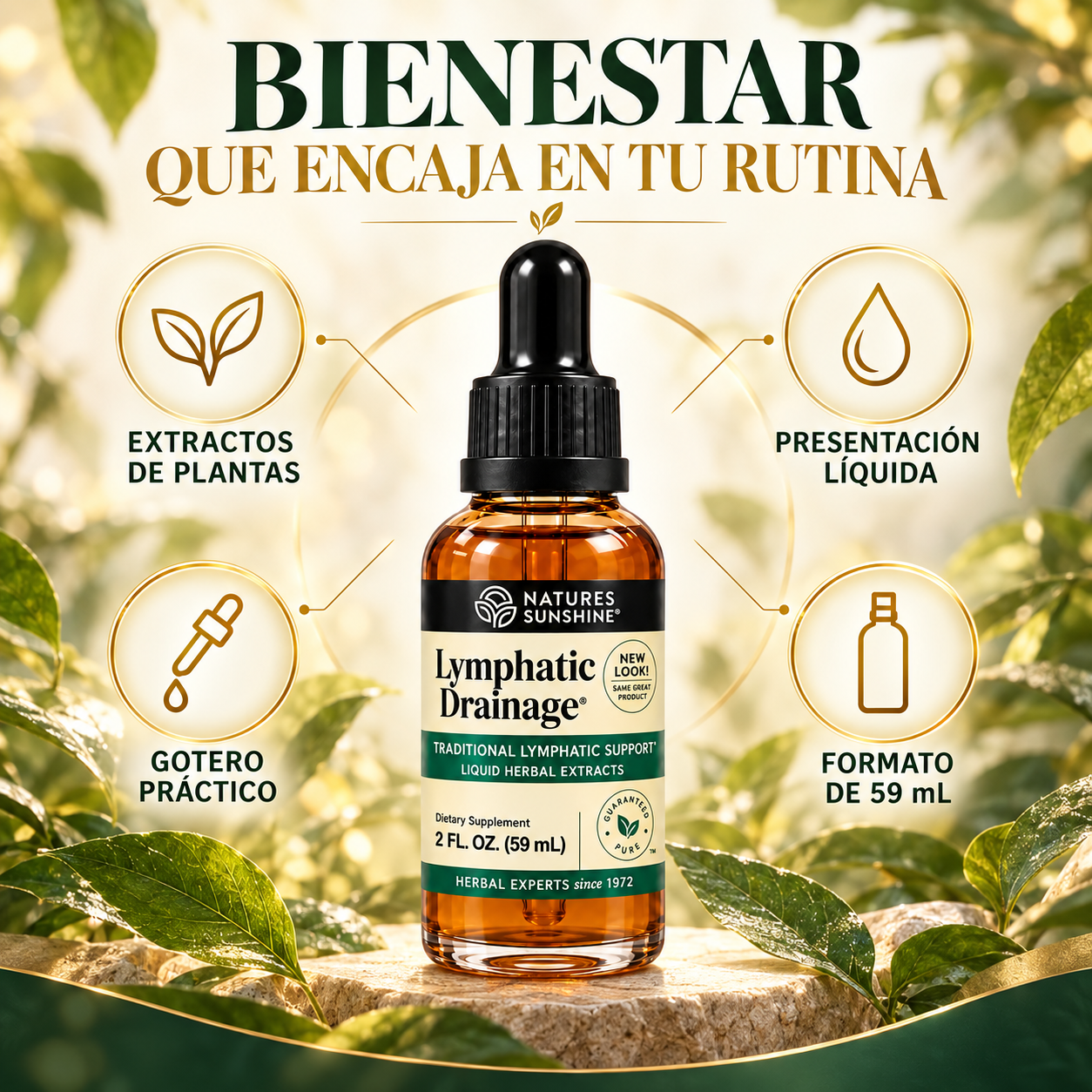 Lymphéa - Beneficios