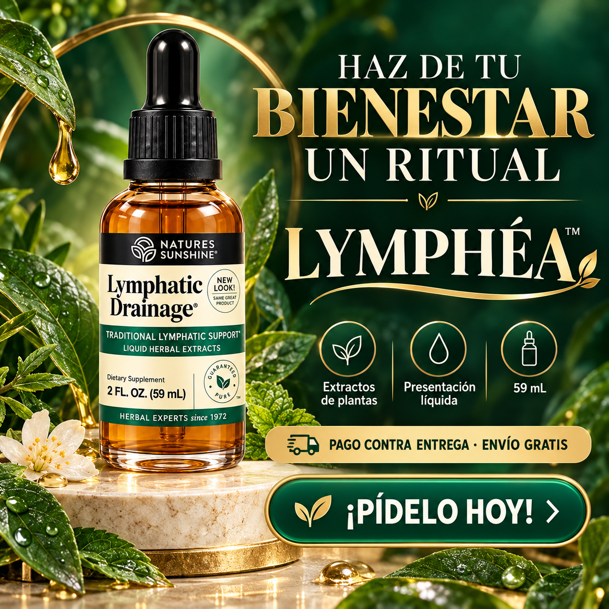 Lymphéa - Oferta final